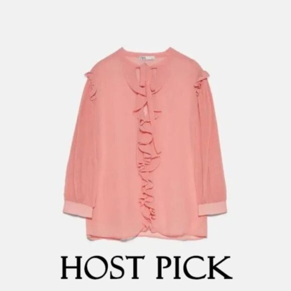 NWT Zara pink pleated sleeve self-tie detail ruffled sheer blouse S